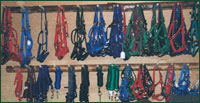 Halters
