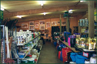 Horse Supplies